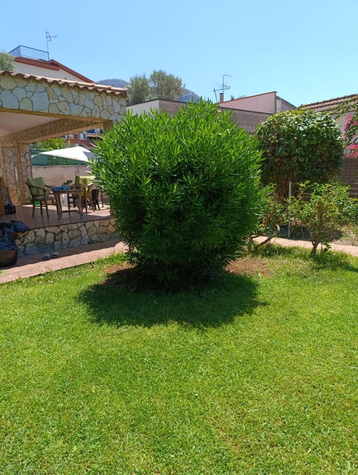 Garden House Mondello Palermo Villa Esterno foto